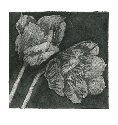 Andrea van Voorst van Beest